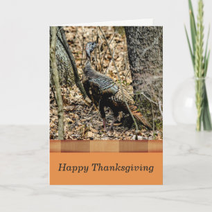 Wildlife Thanksgiving Card,  Turkey in the Forest Holiday Card