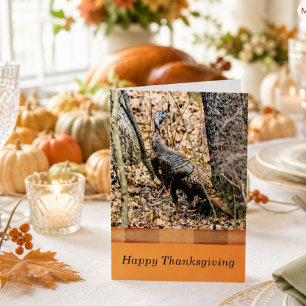 Wildlife Thanksgiving Card,  Turkey in the Forest Holiday Card