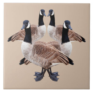 Wildlife tile, ceramic, birds, geese, goose tile