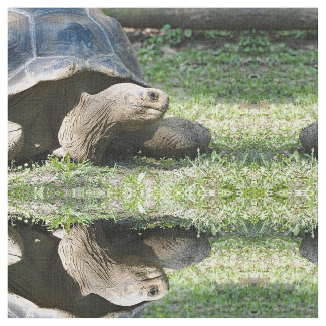 Wildlife Tortoise Photo Fabric (Close Up)