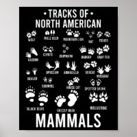 Wildlife Tracks Of North American Mammals - Gift F