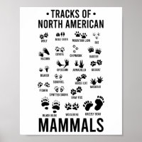 Wildlife Tracks Of North American Mammals - Wildli