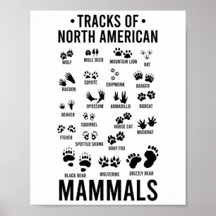 Wildlife Tracks Of North American Mammals - Wildli Poster