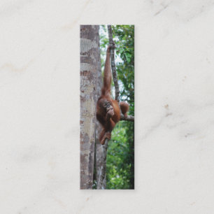 Wildlife Tree Hugger Mini Bookmarks Business Card