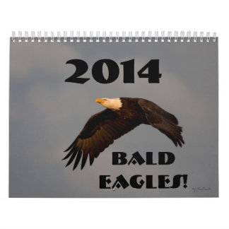 Wildlife wall calendar bald eagles 2014
