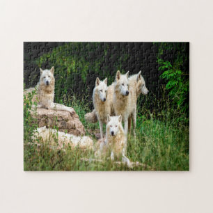 wildlife wolf jigsaw puzzle