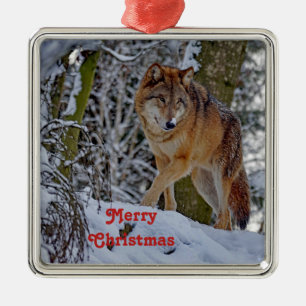 Wildlife Wolf Snow Photo Christmas Metal Ornament
