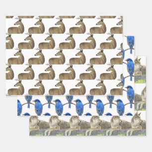 Wildlife Wrapping Paper Sheet