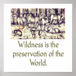 Wildness Is The Preservation Of The World Poster