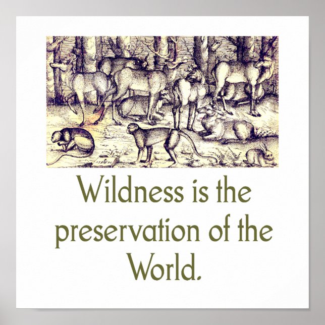 Wildness Is The Preservation Of The World Poster (Front)