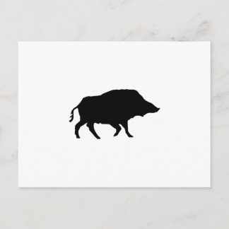Wildschwein Postcard