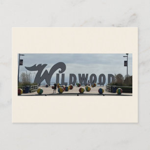 Wildwood Photo Postcard
