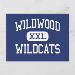 Wildwood - Wildcats - High - Wildwood Florida Postcard