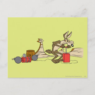 WILE E. COYOTE™ Acme Products 11 2 Postcard