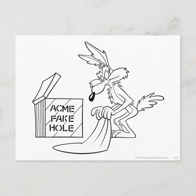 WILE E. COYOTE™ Acme Products 7 Postcard (Front)
