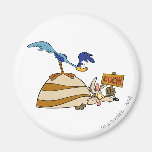 WILE E. COYOTE™ and ROAD RUNNER™ Boulder Magnet