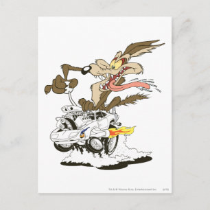 WILE E. COYOTE™ Crazy Driver Postcard