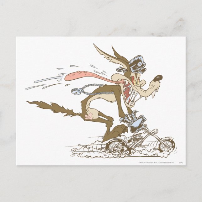 WILE E. COYOTE™ Cycle Racer Postcard (Front)