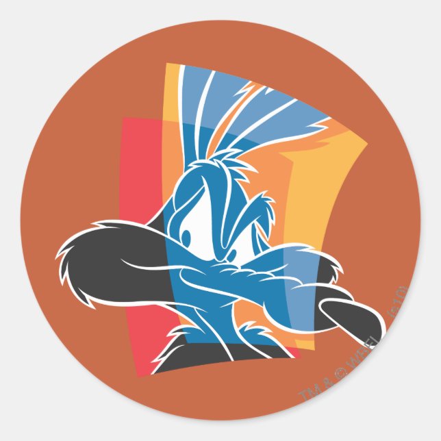 WILE E. COYOTE™ Expressive 22 Classic Round Sticker (Front)