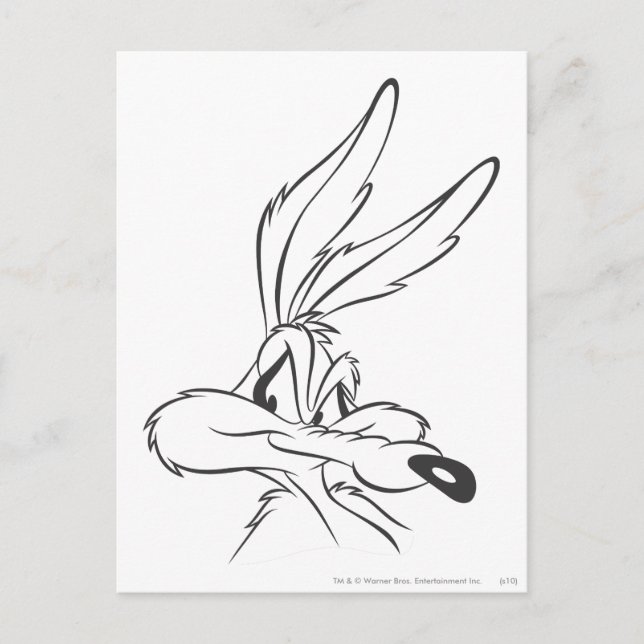 WILE E. COYOTE™ Expressive 7 Postcard (Front)