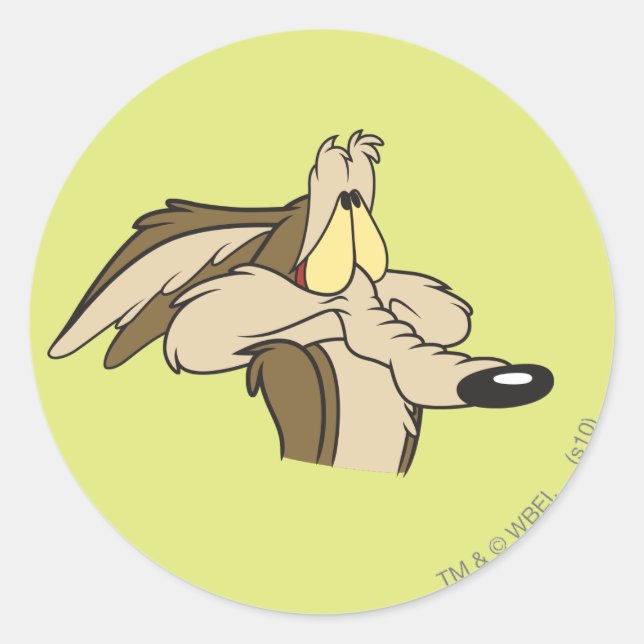 WILE E. COYOTE™ Impending Doom Classic Round Sticker (Front)