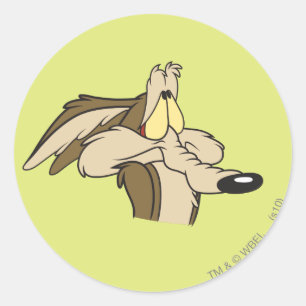 WILE E. COYOTE™ Impending Doom Classic Round Sticker