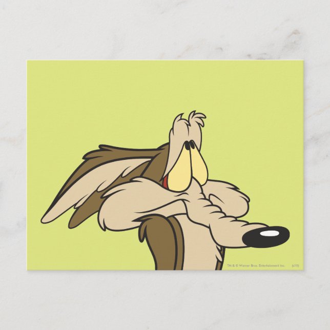 Wile E. Coyote Impending Doom Postcard (Front)