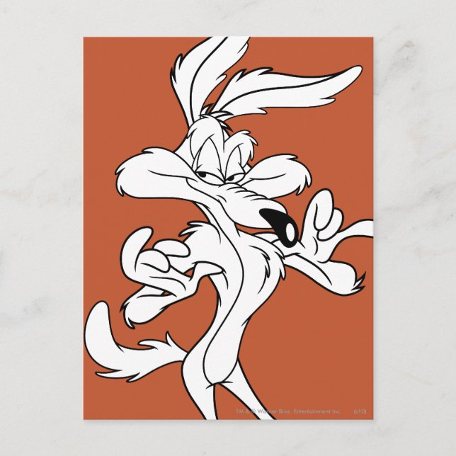 WILE E. COYOTE™ Looking Pleased Postcard (Front)