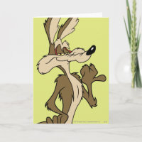 WILE E. COYOTE™ Looking Proud