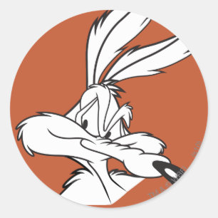 WILE E. COYOTE™ Looking sneaky Classic Round Sticker