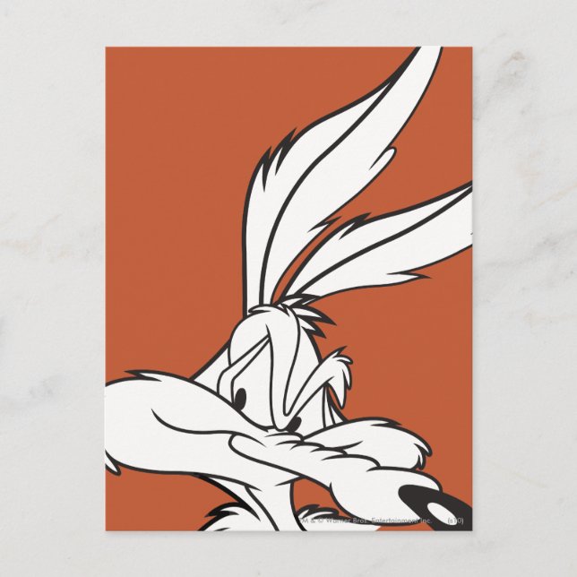 WILE E. COYOTE™ Looking sneaky Postcard (Front)