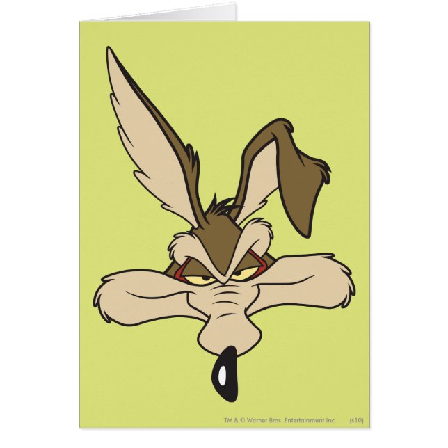 WILE E. COYOTE™ Pleased Head Shot (Front)