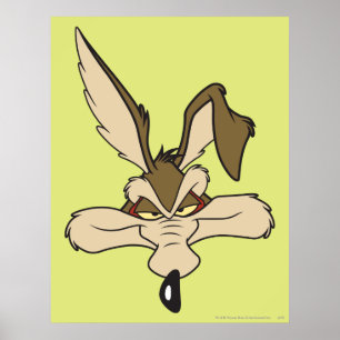 WILE E. COYOTE™ Pleased Head Shot Poster