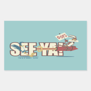 WILE E. COYOTE™ Rocketing Past ROAD RUNNER™ Rectangular Sticker