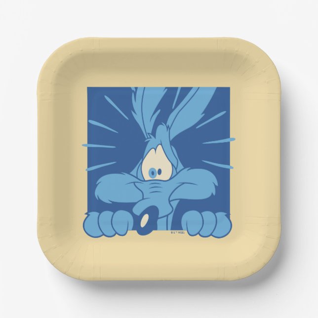 WILE E. COYOTE™ Shocked Expression Paper Plate (Front)