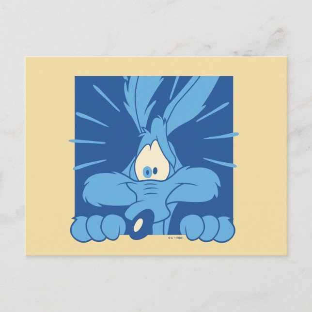 WILE E. COYOTE™ Shocked Expression Postcard (Front)