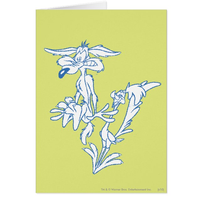 WILE E. COYOTE™ Surprised by the ROAD RUNNER™ (Front)