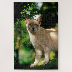 Wilham. Jigsaw Puzzle