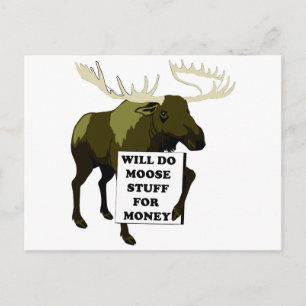 Will Do Moose Stuff For Money Postcard