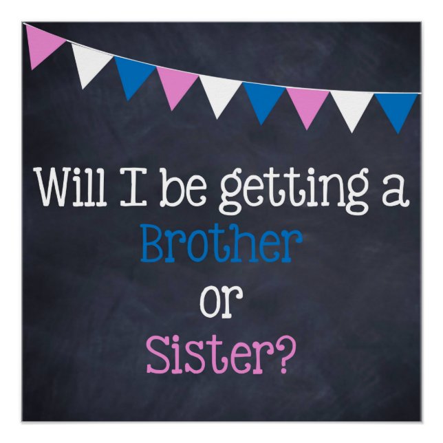 Will I be getting a brother sister gender reveal Poster (Front)