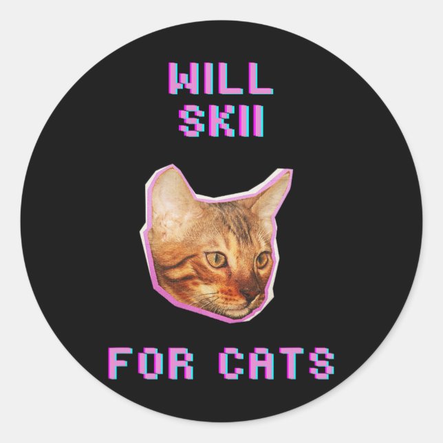 Will Skiing For Cats Funny Winter Snow Adventure  Classic Round Sticker (Front)