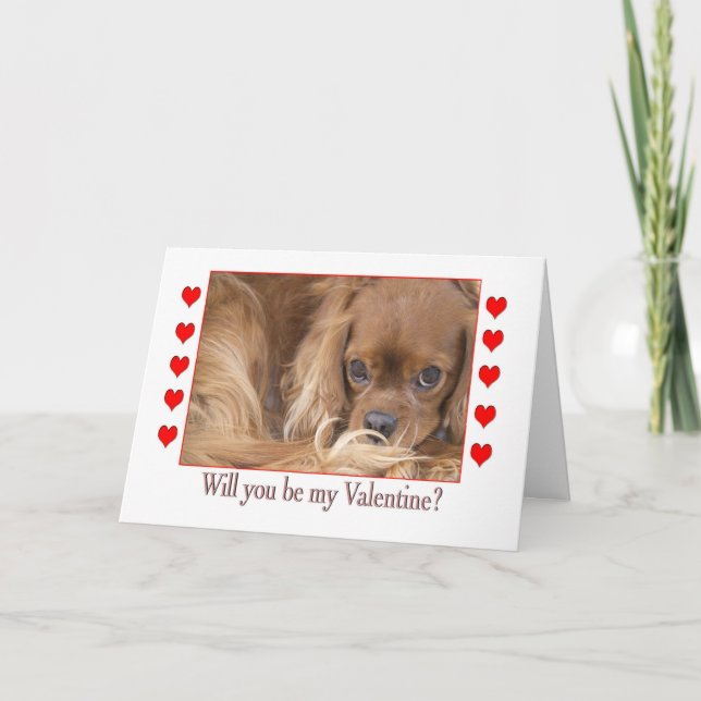Will you be my Valentine's Day Spaniel Card (Front)