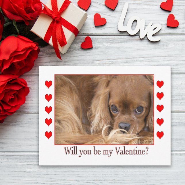 Will you be my Valentine's Day Spaniel Postcard (Creator Uploaded)