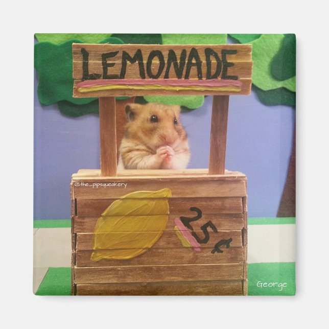 Will You Buy Some Lemonade? Pretty Please? Magnet (Front)