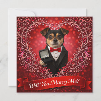 Will You Marry Me? 1 Card