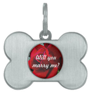 "Will you marry me?" message on red rose Pet ID Tag