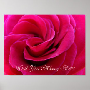Will You Marry Me?! Pink Rose art print Weddings