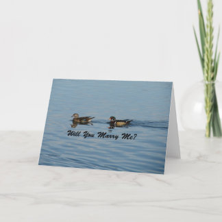 Will You Marry Me? Wood Duck Pair Card
