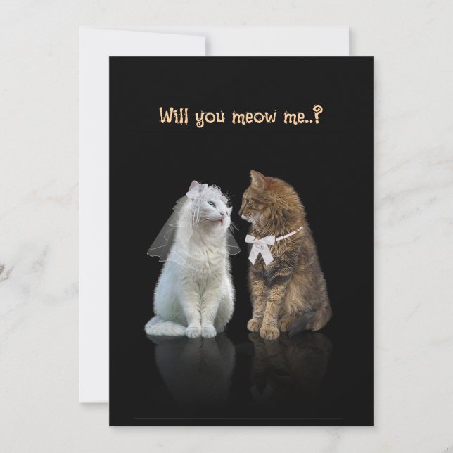 Will you meow me..? Card (Front)