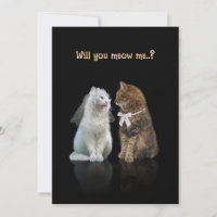 Will you meow me..? Card
